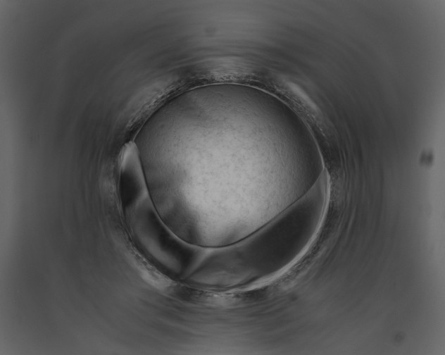 X0000090960405200708241157