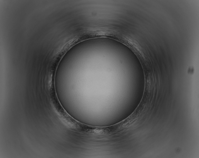 X0000090960406200708241157