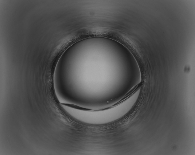 X0000090960407200708241157