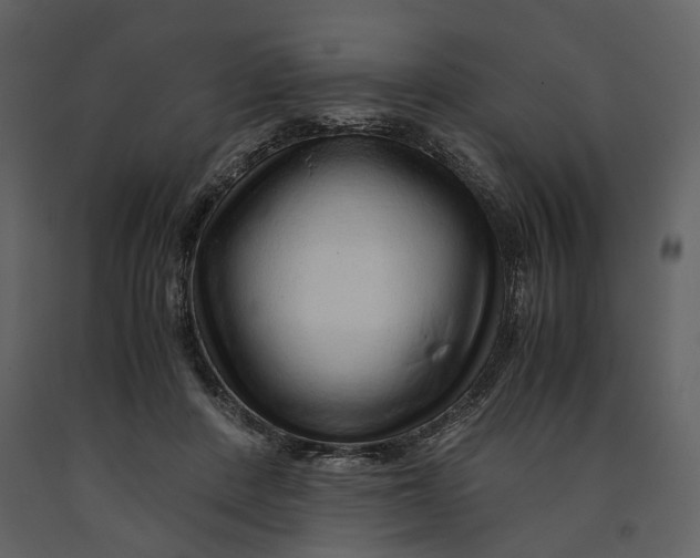 X0000090960408200708241157