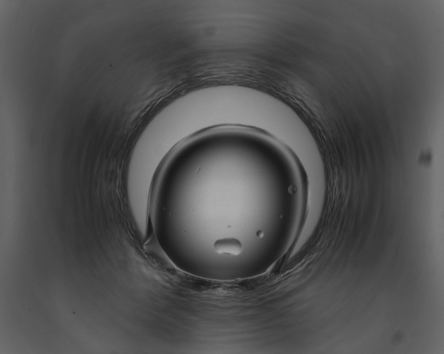 X0000090960412200708241157