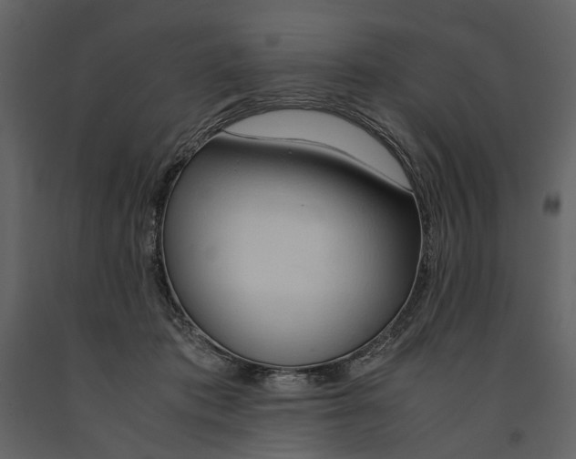 X0000090960413200708241157