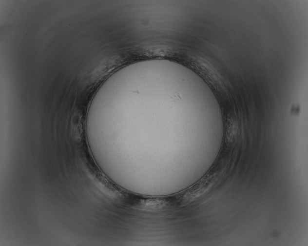 X0000090960414200708241157