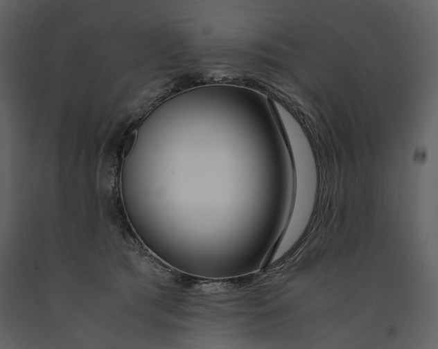 X0000090960417200708241157