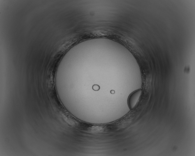 X0000090960418200708241157