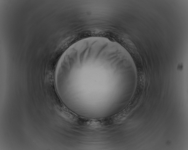 X0000090960419200708241157