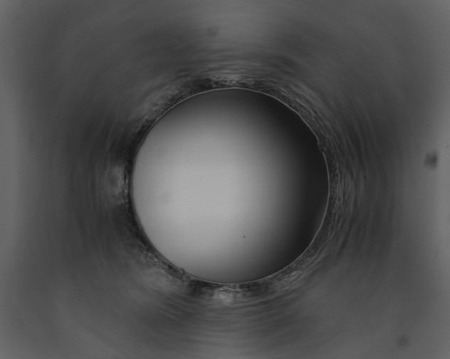 X0000090960420200708241157