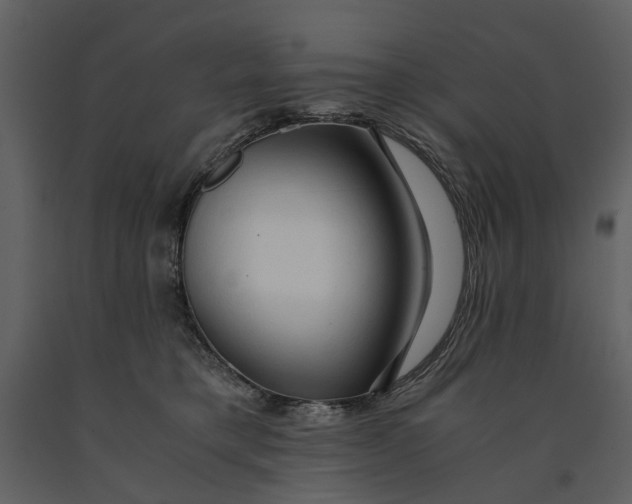 X0000090960421200708241157