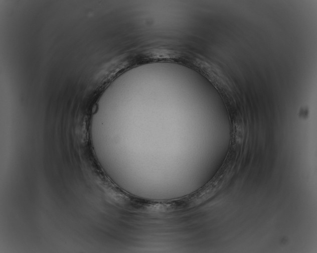 X0000090960422200708241157