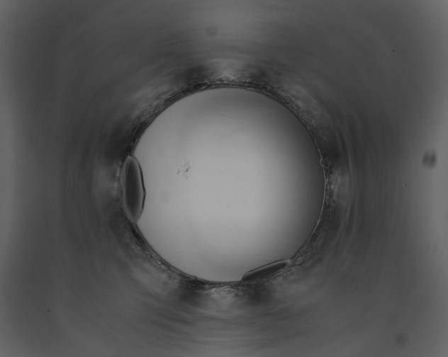 X0000090960423200708241157