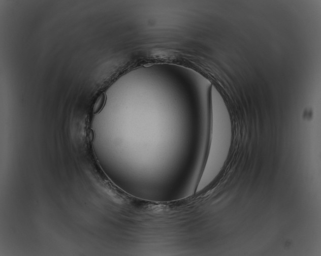 X0000090960424200708241157