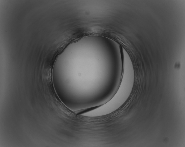 X0000090960425200708241157