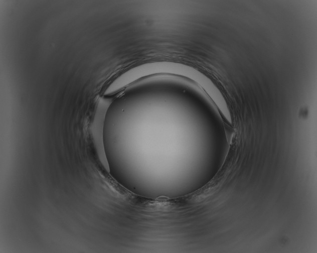 X0000090960428200708241157