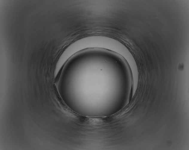 X0000090960429200708241157