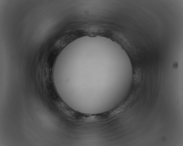 X0000090960430200708241157