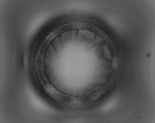 X0000090960431200708241157