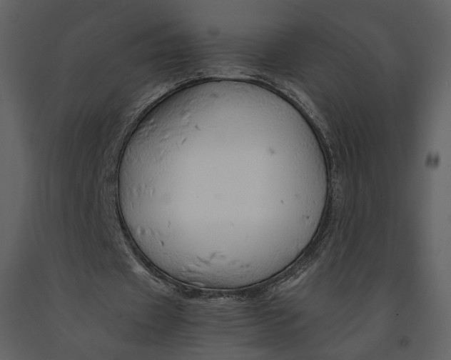 X0000090960433200708241156