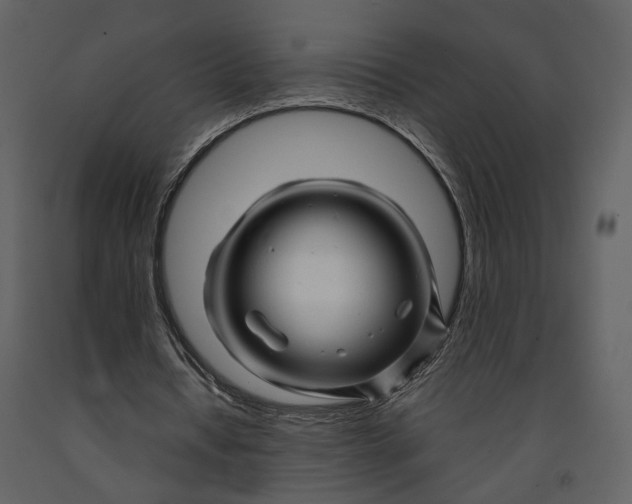 X0000090960434200708241156