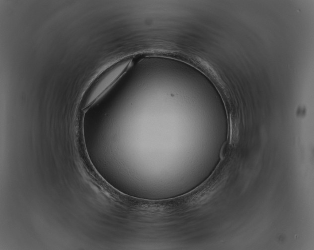 X0000090960435200708241156