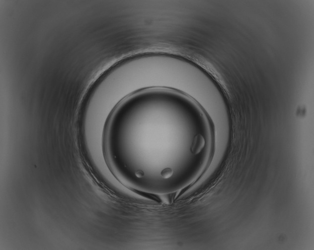 X0000090960436200708241156