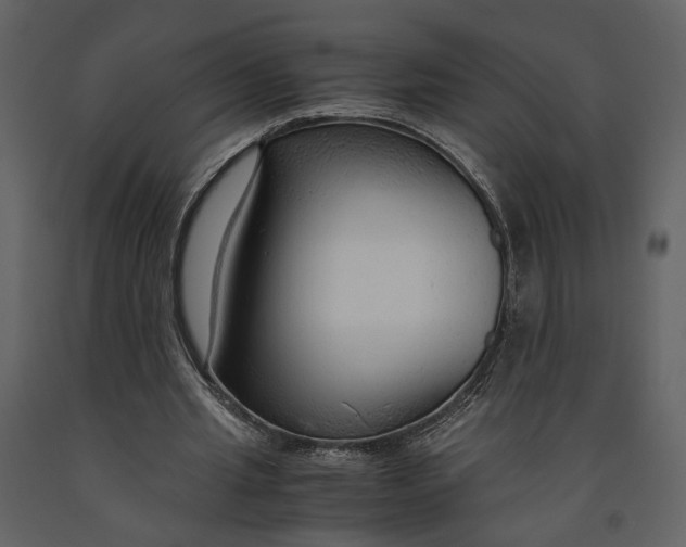 X0000090960437200708241156