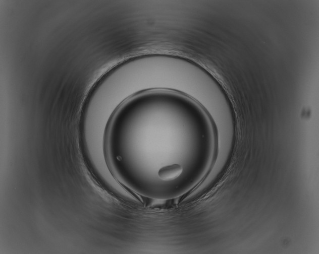 X0000090960438200708241156