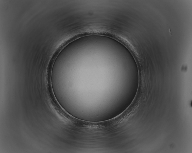 X0000090960439200708241156