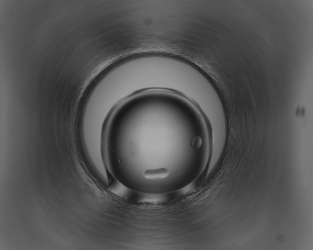 X0000090960440200708241156