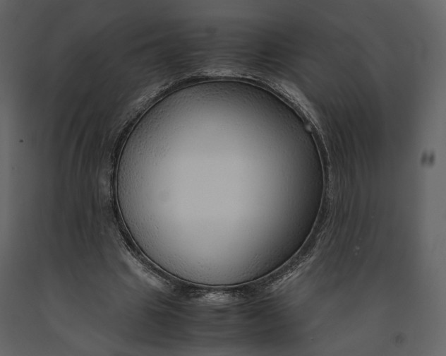 X0000090960441200708241156