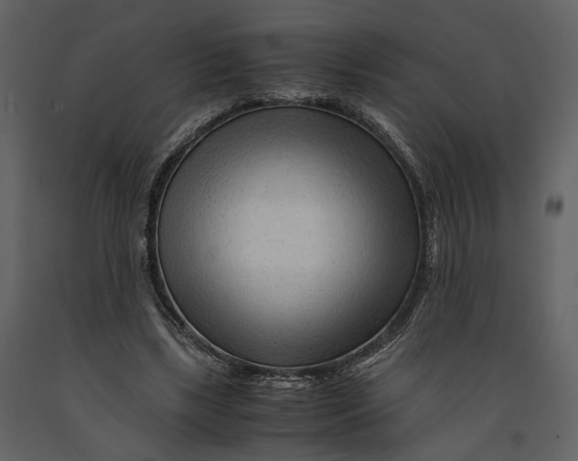 X0000090960443200708241156