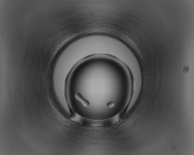 X0000090960444200708241156