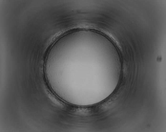 X0000090960445200708241156