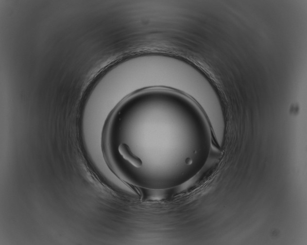 X0000090960446200708241156