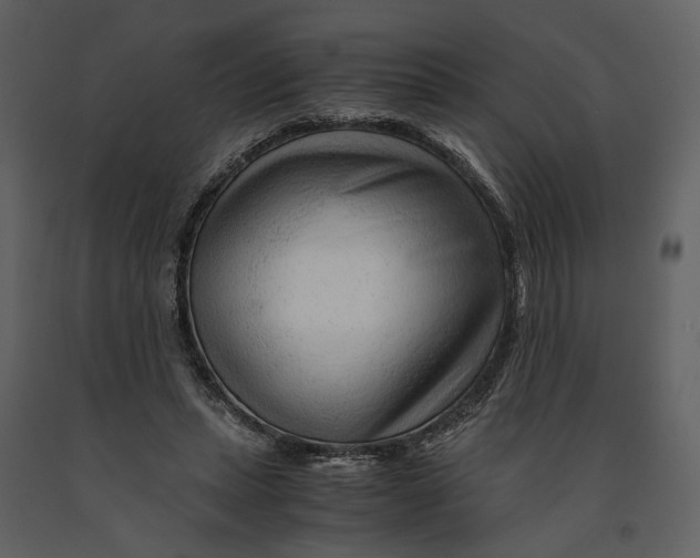 X0000090960447200708241156