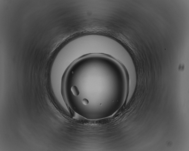 X0000090960448200708241156