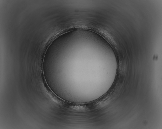 X0000090960449200708241156