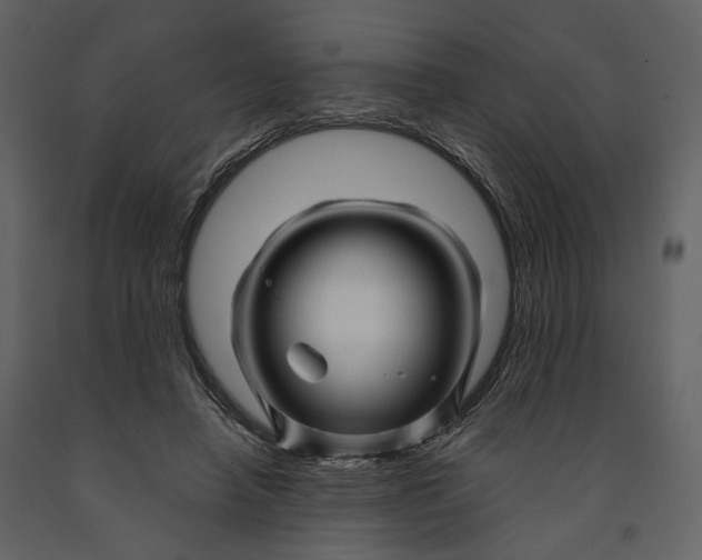 X0000090960450200708241156