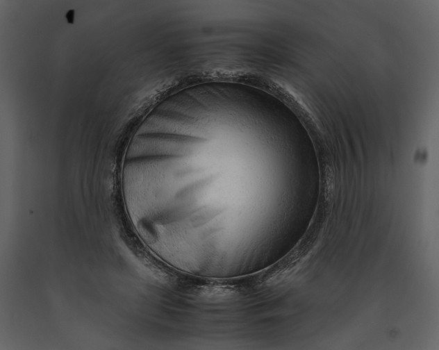 X0000090960451200708241156