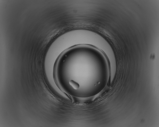 X0000090960452200708241156