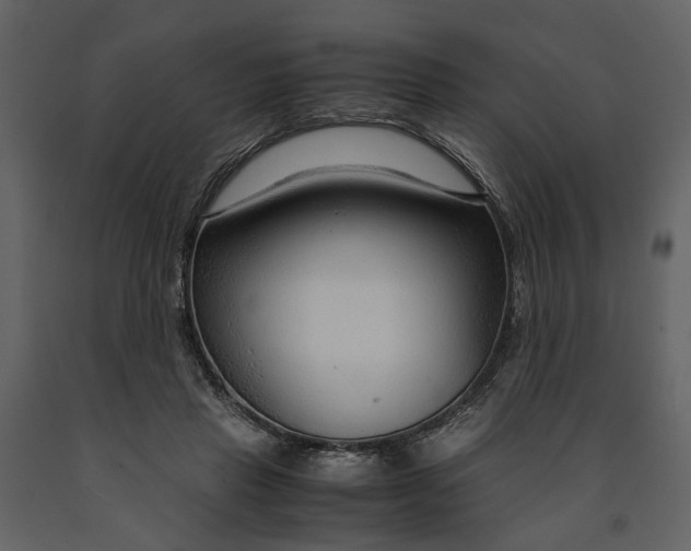 X0000090960453200708241156