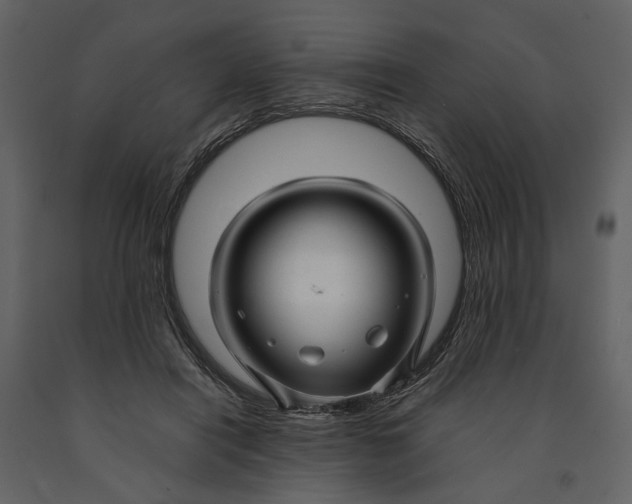 X0000090960454200708241156