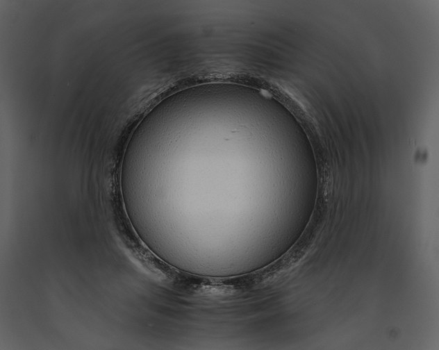 X0000090960455200708241156