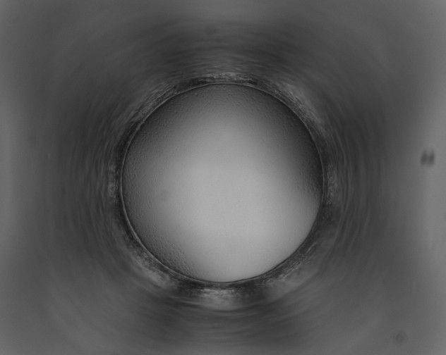 X0000090960457200708241156