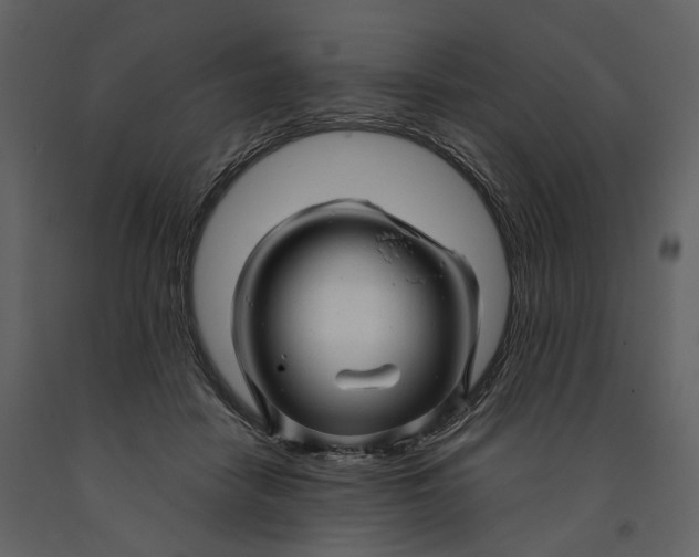 X0000090960458200708241156