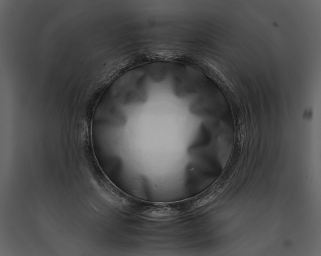 X0000090960459200708241156