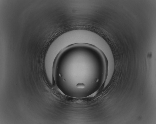 X0000090960460200708241156