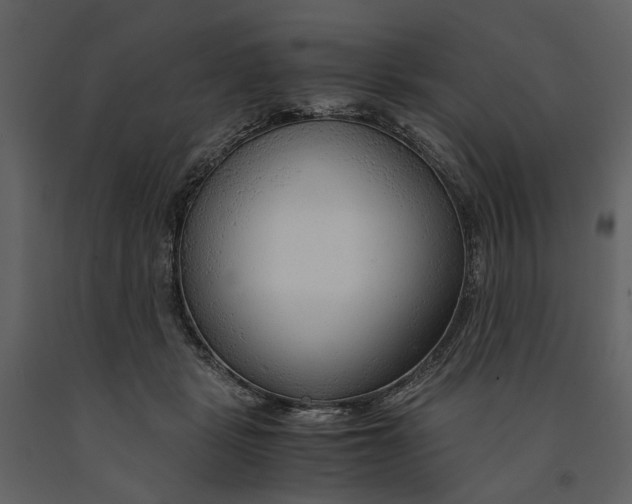 X0000090960461200708241156