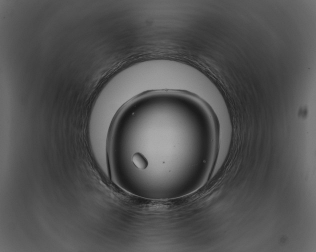 X0000090960462200708241156