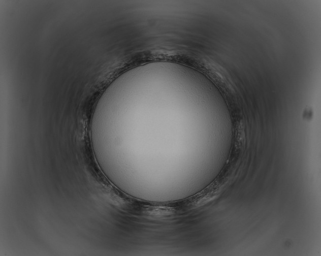 X0000090960463200708241156