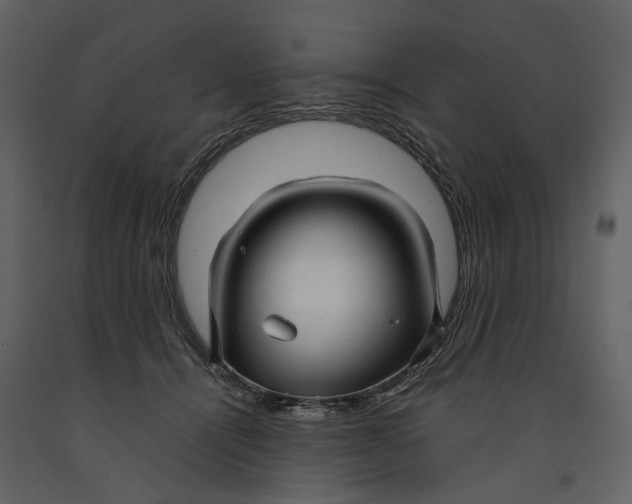 X0000090960464200708241157